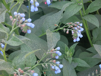 Similar image 21087593