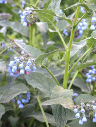 Similar image 21087594