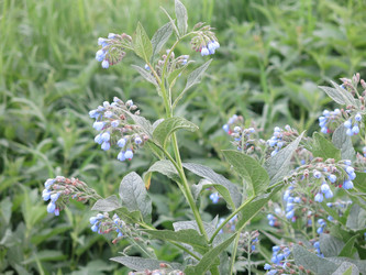 Similar image 21087595