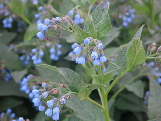 Similar image 21087597