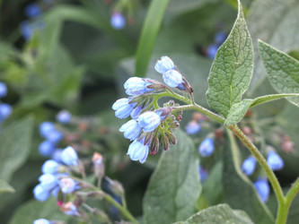 Similar image 21087598