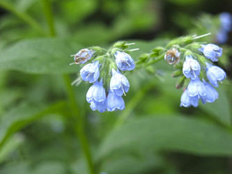 Similar image 21087600