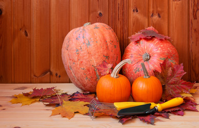 Similar image 21087530