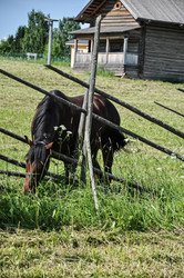 Similar image 21122667