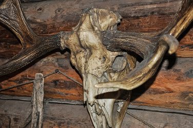 Similar image 21122669