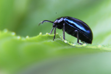 Similar image 21087535