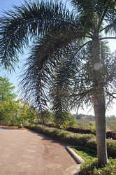 Similar image 21122152