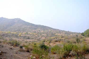 Similar image 21122476