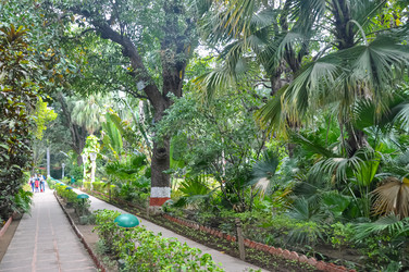 Similar image 21122498