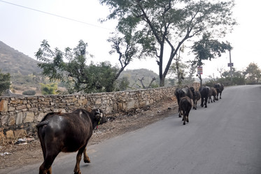 Similar image 21122499