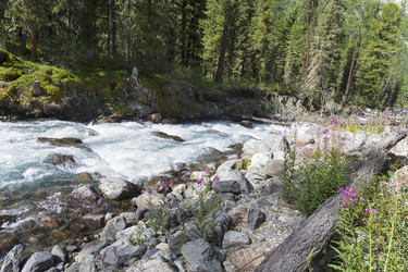 Similar image 21087947