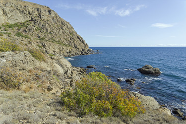 Similar image 21087949