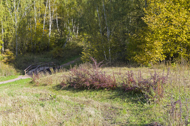 Similar image 21087956