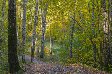 Similar image 21087957