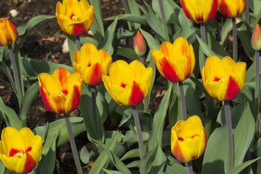 Similar image 21094263