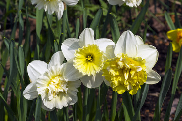 Similar image 21094270