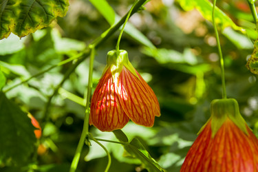 Similar image 21087963