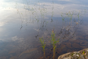 Similar image 21087972