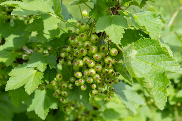 Similar image 21088612