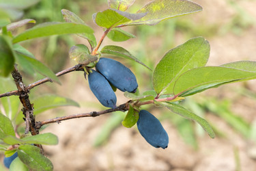 Similar image 21088613