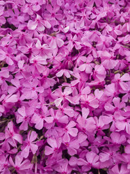 Similar image 21089067