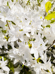 Similar image 21089068