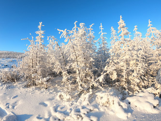 Similar image 21089069