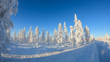 Similar image 21089071