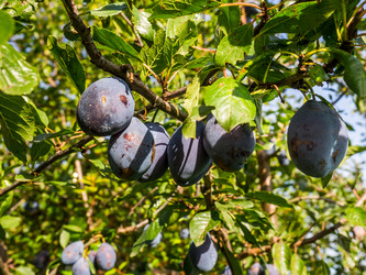 Similar image 21089072