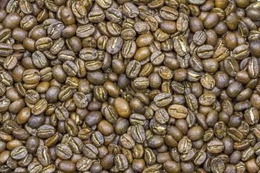 Similar image 21089077