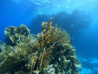 Similar image 21089079