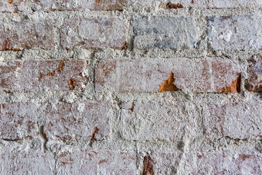 Similar image 21089080