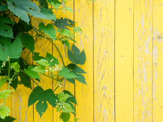 Similar image 21088617