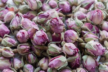 Similar image 21088621