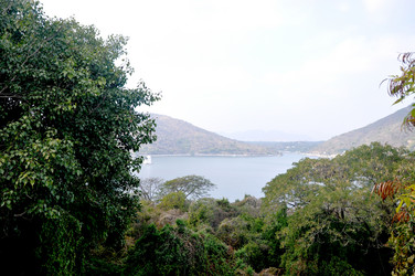 Similar image 21120509