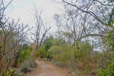 Similar image 21122165