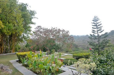 Similar image 21122169