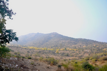 Similar image 21122171