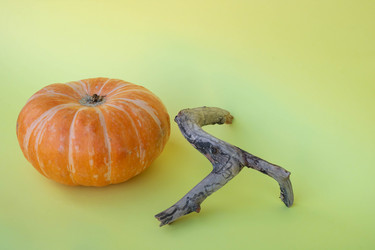 Similar image 21090343