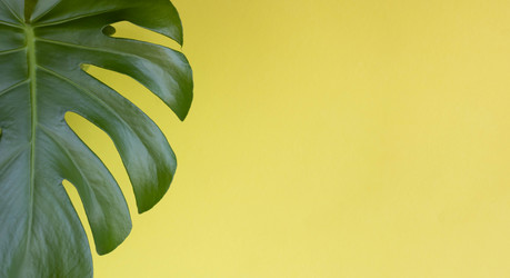 Similar image 21090354