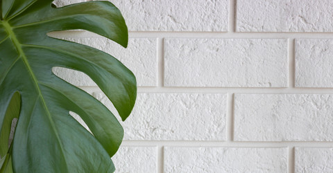 Similar image 21090355