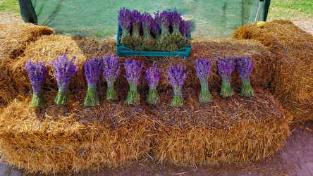 Similar image 21090359