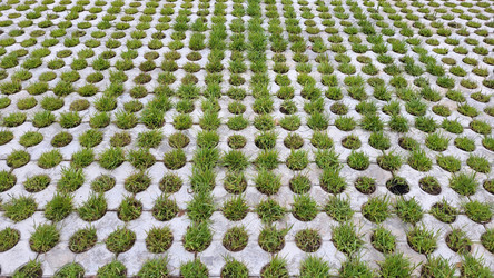 Similar image 21090362