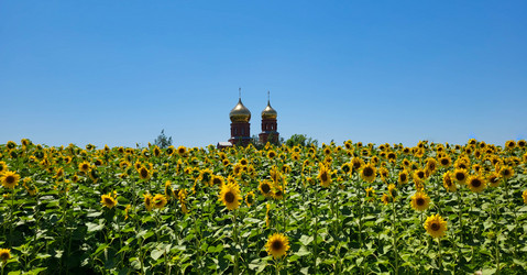 Similar image 21090373