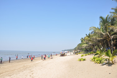 Similar image 21120523