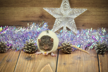 Similar image 21088179