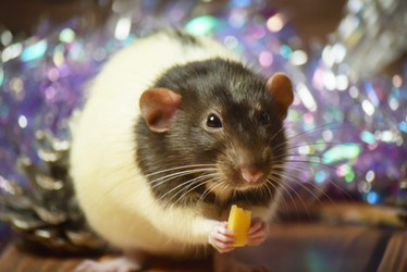 Similar image 21088180