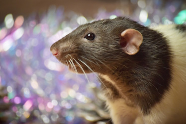 Similar image 21087546