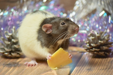 Similar image 21088181