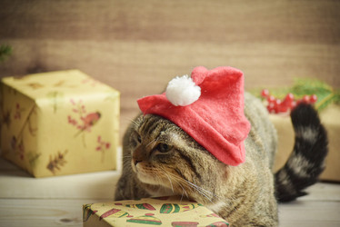 Similar image 21088183